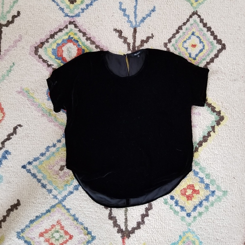 Madewell Velvet Tshirt